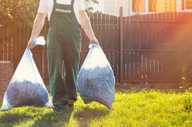 Best Shed Removal  in Chesilhurst, NJ